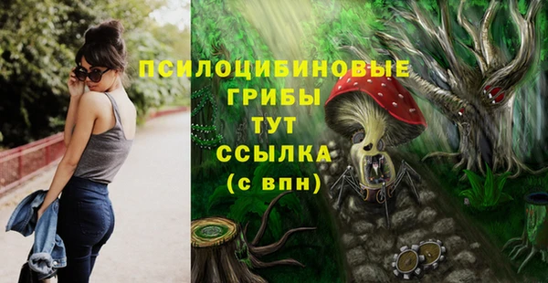 шишки Зерноград