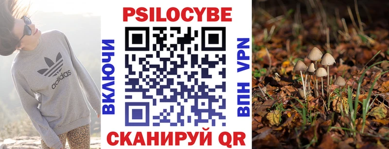 Купить закладки  Дегтярск  Галлюциногенные грибы MAGIC MUSHROOMS 