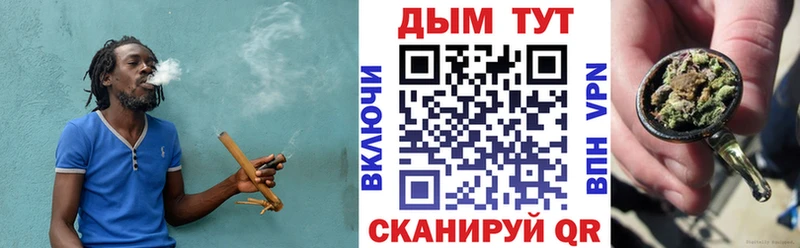 Каннабис планчик Дегтярск